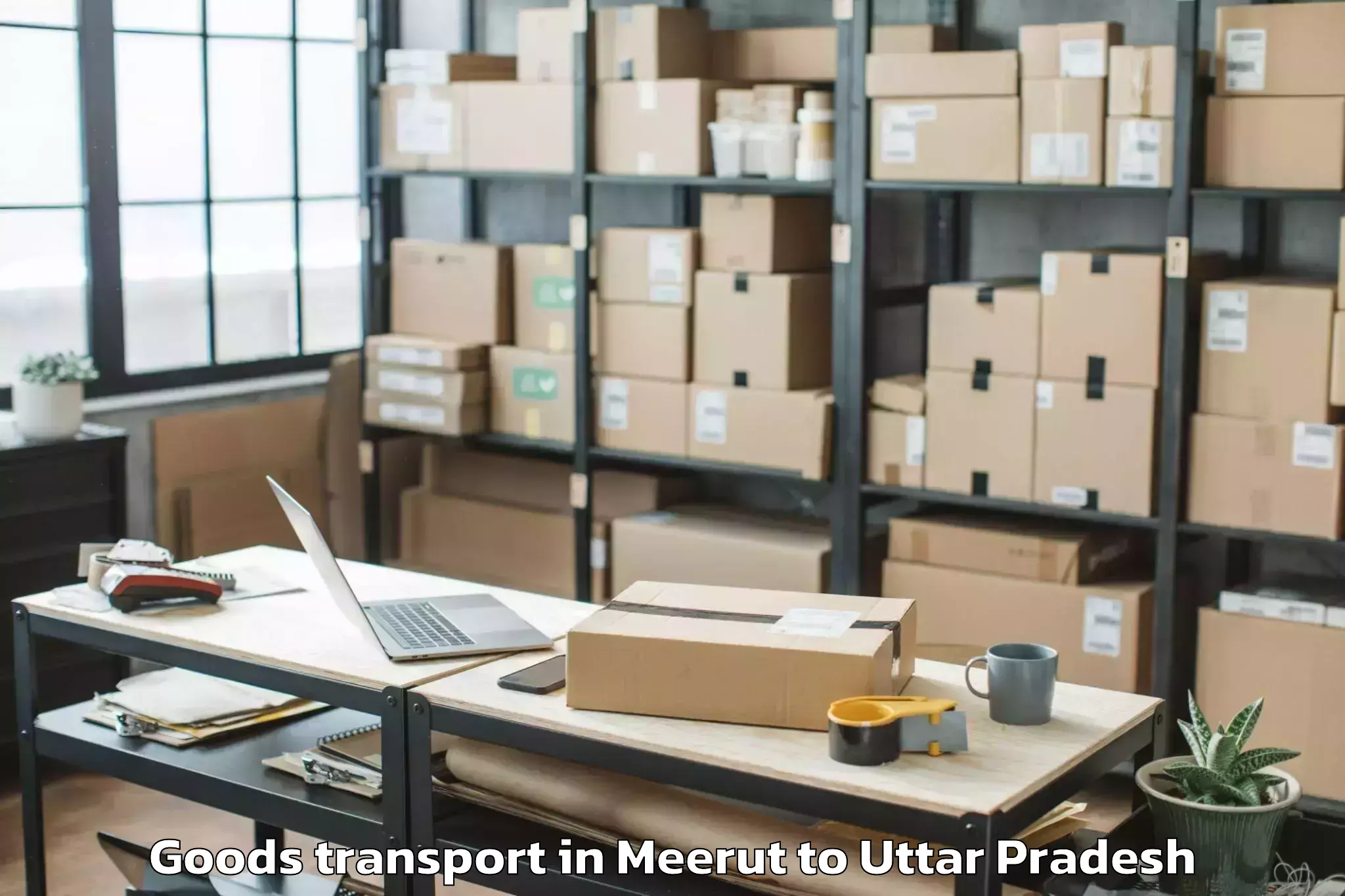 Top Meerut to Tilhar Goods Transport Available